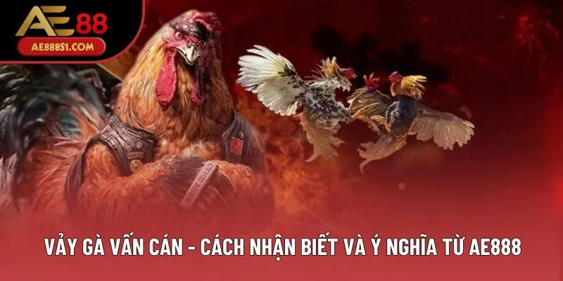 Vảy Gà Vấn Cán - Cách Nhận Biết Và Ý Nghĩa Chuẩn Xác